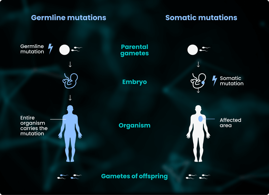 Germline data encompasses an individual's genetic information inherited from their parents. 