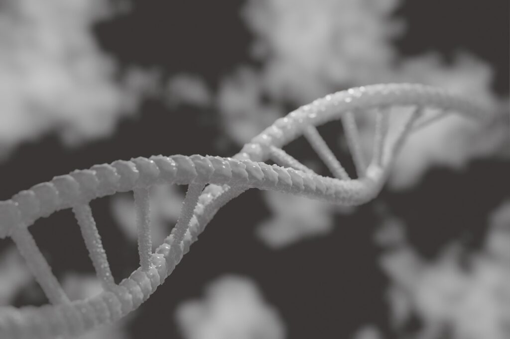lung cancer genetics study