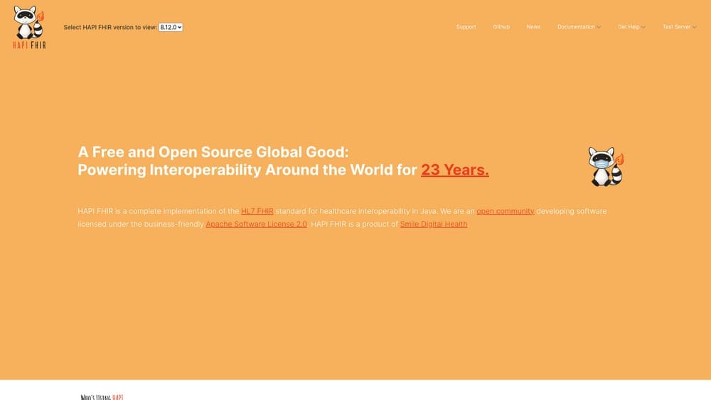 Screenshot of HAPI FHIR website